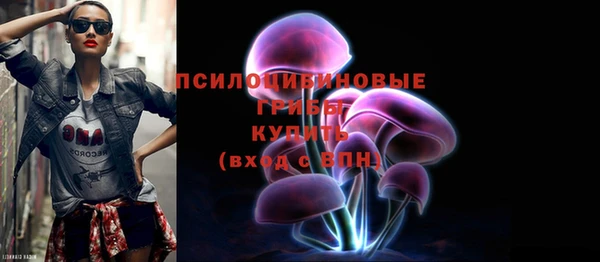 индика Новодвинск