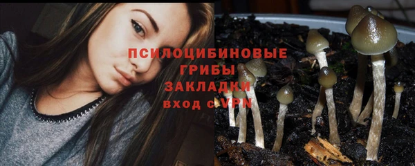 MESCALINE Арсеньев